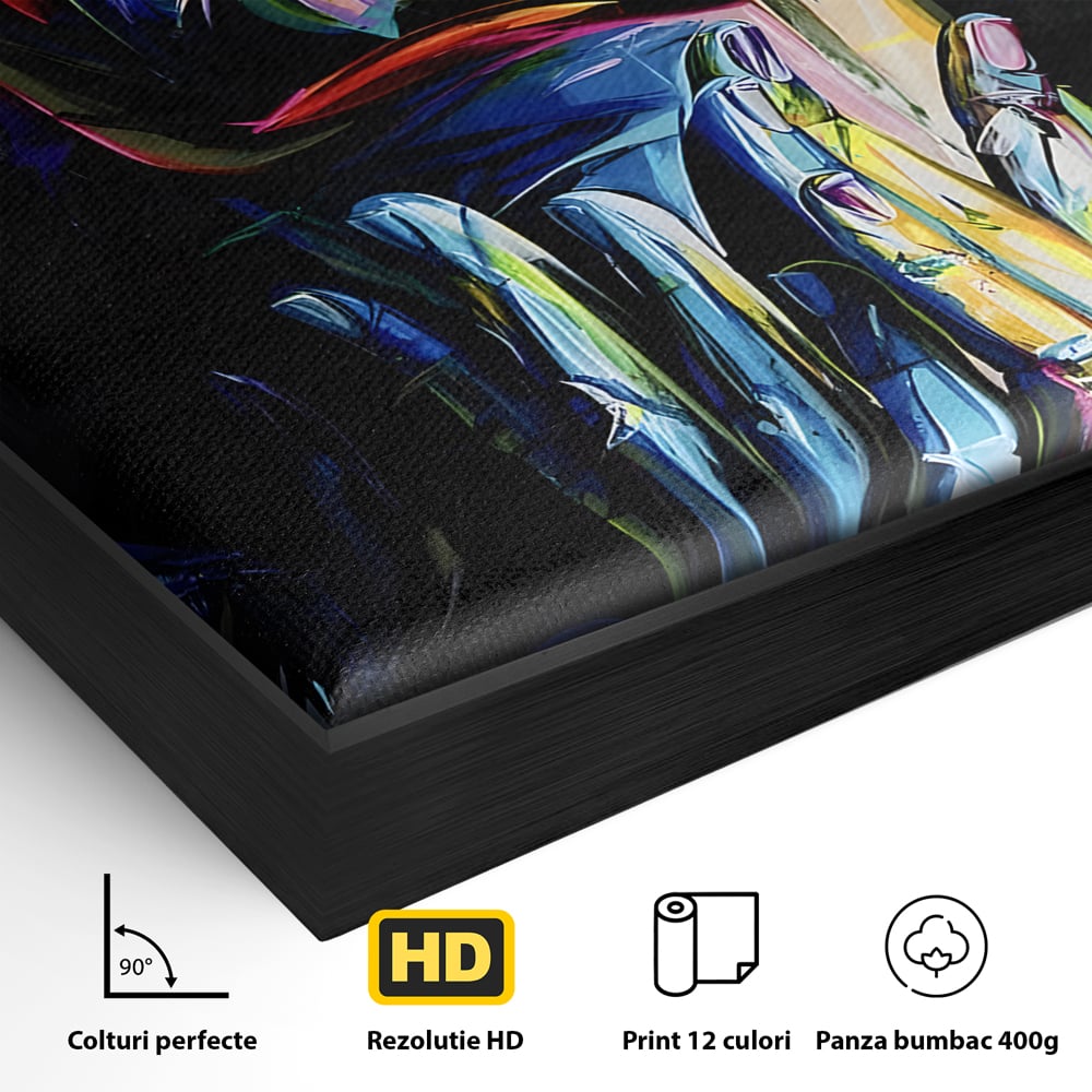 Detaliu al suprafetei: tablou canvas cu femeie stilizata, in rama de aluminiu negru
